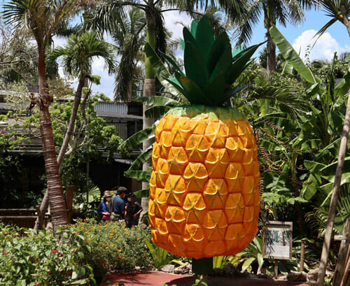 Nago Pineapple Park